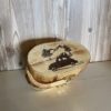 Schachtel abgerundet "BaumKäfer"